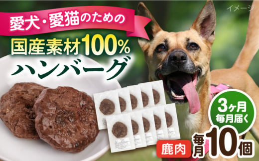 【全3回定期便】ペットフード 鹿肉 100%ハンバーグ 10個セット ペット 犬 猫 手作り 国産 てづくり こだわり ドッグフード  横須賀 【ペットフードYM japan】 [AKEX011] 1529416 - 神奈川県横須賀市