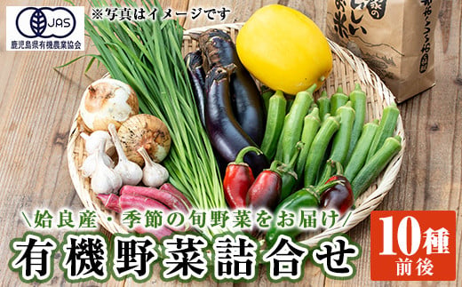 a967 姶良産 有機野菜の詰合せセット(10種前後)【今村農園】姶良市 国産 鹿児島県 野菜 やさい 旬 有機栽培 詰め合わせ 春 夏 秋 冬 季節 1461668 - 鹿児島県姶良市