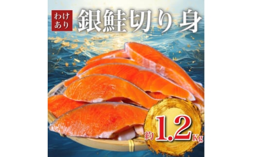 B級銀鮭切り身(打ち身、不揃い、色飛び)約1.2kg【1541277】 1461971 - 千葉県いすみ市