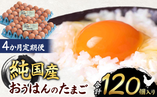 【4ヵ月定期便】信州産純国産鶏「おうはん」のたまご　30個入り｜ ふるさと納税 信州 鶏 卵 たまご 長野県 松本市 美味しい 種類豊富 特別 1598332 - 長野県松本市