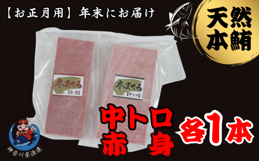 B19-015 【12月30日にお届け】神奈川県漁連　天然本マグロ　中トロ・赤身セット【お正月用】 1460795 - 神奈川県三浦市