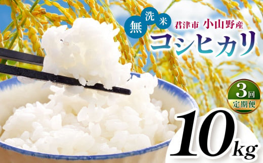 【定期便3回】【新米 1週間以内に発送】令和6年産 君津市小山野産 コシヒカリ 無洗米 10kg 3回 | 新米 しんまい こしひかり 千葉県産 むせんまい 米 コメ こめ お米 すぐ発送 すぐ 千葉県 君津市 きみつ あかかげ農園　千葉稲作 1463324 - 千葉県君津市