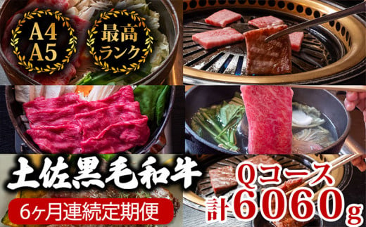 【6回定期便】土佐黒毛和牛 食べ比べ 6060g (計6kg以上) | Qコース 厳選 国産 和牛 すき焼き しゃぶしゃぶ ステーキ 焼き肉 お肉 にく 霜降り 牛肉 ウデ肉 うで肉 モモ肉 もも肉 サーロイン リブロース 人気 贈答 ギフト プレゼント 小分け 数量限定 6ヵ月 頒布会 老舗 たけうちミート 高知県 須崎市 TM19000 1464494 - 高知県須崎市