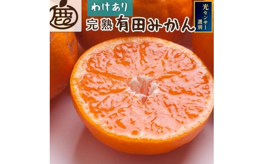 ＜11月より発送＞家庭用 完熟有田みかん10kg+300g（傷み補償分）【わけあり・訳あり】【光センサー選果】 1460722 - 和歌山県由良町