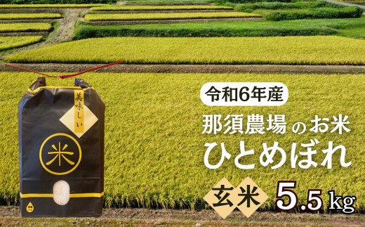 令和6年産 新米 ひとめぼれ 玄米 5.5kg 1466276 - 岩手県一関市