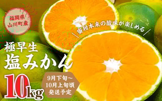 A156 福岡県山川産 極早生 塩みかん(緑) 10kg 【2024年9月下旬～10月上旬発送予定】 早採り 蜜柑 411890 - 福岡県みやま市