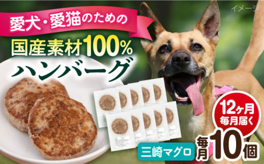 【全12回定期便】ペットフード 三崎マグロ 100%ハンバーグ 10個セット ペット 犬 猫 手作り 国産 てづくり こだわり まぐろ ドッグフード  横須賀 【ペットフードYM japan】 [AKEX005] 1529410 - 神奈川県横須賀市