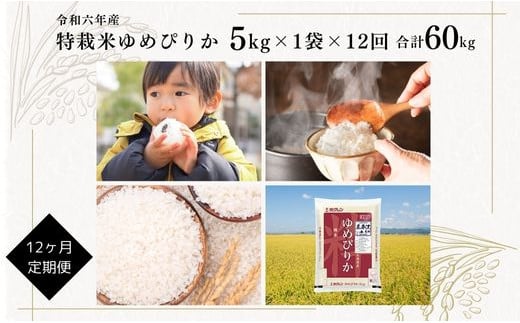 【定期便】【令和6年産】北海道産『特別栽培米 ゆめぴりか 5kg×12ヶ月』 日経トレンディ米のヒット甲子園 大賞受賞 毎月1回・計12回お届け 計60kg 定期便 単一原料米 特栽米 米 お米 白米 精米 こめ おこめ ごはん ご飯 送料無料 北海道 奈井江町 867139 - 北海道奈井江町