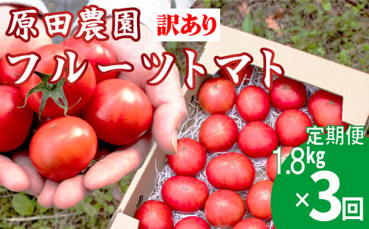 【3回定期便】 訳あり フルーツトマト 原田農園 1.8kg （12月下旬～5月頃発送）＜2024年12月下旬頃より発送＞＜毎年12月上旬頃まで申込受付＞