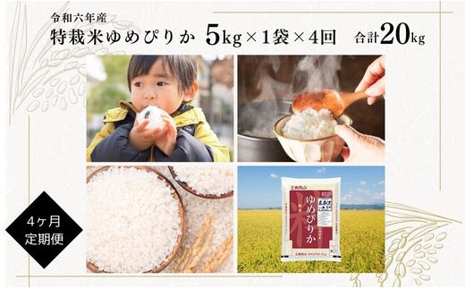 [定期便][令和6年産]北海道産『特別栽培米 ゆめぴりか 5kg×4ヶ月』日経トレンディ米のヒット甲子園 大賞受賞 毎月1回・計4回お届け 計20kg 定期便 単一原料米 特栽米 米 お米 白米 精米 こめ おこめ ごはん ご飯 送料無料 北海道 奈井江町