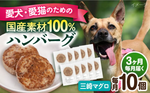 【全3回定期便】ペットフード 三崎マグロ 100%ハンバーグ 10個セット ペット 犬 猫 手作り 国産 てづくり こだわり まぐろ ドッグフード  横須賀 【ペットフードYM japan】 [AKEX003] 1529408 - 神奈川県横須賀市