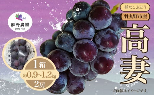 【2025年先行予約】高妻 (種なしぶどう) 約0.9~1.2kg (2房) 麻野農園《2025年8月上旬-9月上旬頃出荷》大阪府 羽曳野市 ぶどう 果物 フルーツ 葡萄 1461910 - 大阪府羽曳野市