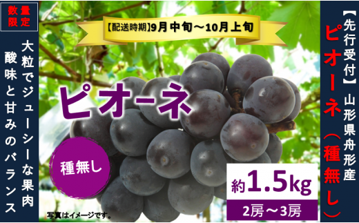 ピオーネ約1.5kg（2～3房）数量限定　2025年先行予約