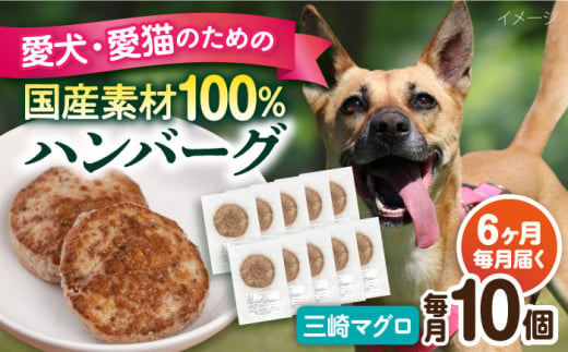 【全6回定期便】ペットフード 三崎マグロ 100%ハンバーグ 10個セット ペット 犬 猫 手作り 国産 てづくり こだわり まぐろ ドッグフード  横須賀 【ペットフードYM japan】 [AKEX004] 1529409 - 神奈川県横須賀市