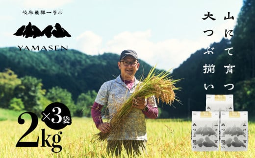 新米予約受付【令和6年産米】すがたらいす 山仙 (いのちの壱)  2kg×3（6kg）すがたらいす 6キロ 下呂市金山産 2024年産 お米 精米 米 いのちのいち やません 1454272 - 岐阜県下呂市