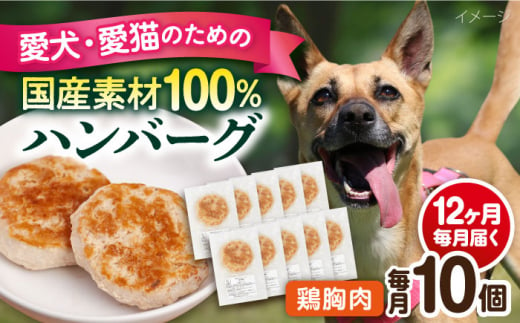 【全12回定期便】ペットフード 鶏むね 100%ハンバーグ 10個セット ペット 犬 猫 手作り 国産 てづくり こだわり ドッグフード  横須賀 【ペットフードYM japan】 [AKEX009] 1529414 - 神奈川県横須賀市