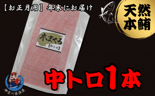 B12-014 【12月30日にお届け】神奈川県漁連　天然本マグロ　中トロサク【お正月用】 1460796 - 神奈川県三浦市