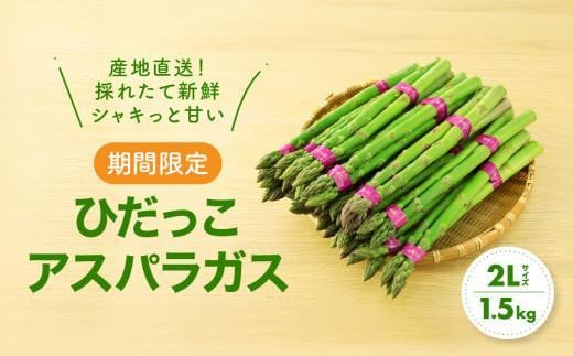 【2025年発送 先行受付】2Lサイズ以上 ひだっこアスパラガス 1.5kg アスパラ  野菜 やさい 産地直送 春  夏   採れたて グリーンアスパラガス 期間限定 ひだっこの里  CM002VC01 1460566 - 岐阜県高山市