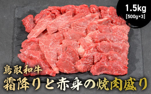 鳥取和牛 霜降りと赤身の焼肉盛り 1.5kg ( 500g × 3 ) 国産 牛肉 焼肉 赤身 霜降り ロース モモ バラ バーベキュー 和牛 黒毛和牛 ブランド牛 鳥取県 倉吉市 KR1464 1464020 - 鳥取県倉吉市