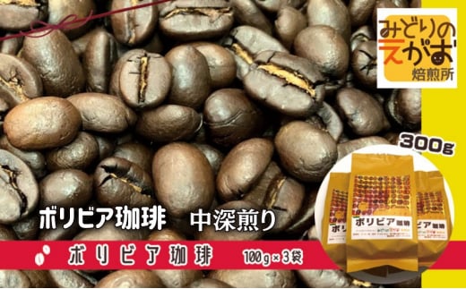 50度お湯洗い焙煎豆 ボリビア珈琲 中深煎り 珈琲 コーヒー キャンプ アウトドア ギフト 贈り物