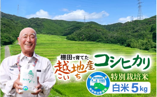 【令和6年 新米】越地 (こいち) 産 特別栽培米 コシヒカリ【白米】 計5kg [m24-a006] 1524470 - 福井県美浜町