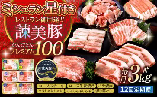 【12回定期便】＜米で育てた＞諫美豚プレミアム100おすすめセット3kg / 豚肉 ぶたにく 豚 ポーク 肩ロース ステーキ モモ 切り落とし ハンバーグ ロースステーキ パック 小分け/ 諫早市 / 株式会社土井農場 [AHAD033] 303458 - 長崎県諫早市