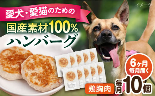 【全6回定期便】ペットフード 鶏むね 100%ハンバーグ 10個セット ペット 犬 猫 手作り 国産 てづくり こだわり ドッグフード  横須賀 【ペットフードYM japan】 [AKEX008] 1529413 - 神奈川県横須賀市