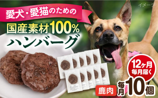 【全12回定期便】ペットフード 鹿肉 100%ハンバーグ 10個セット ペット 犬 猫 手作り 国産 てづくり こだわり ドッグフード  横須賀 【ペットフードYM japan】 [AKEX013] 1529418 - 神奈川県横須賀市