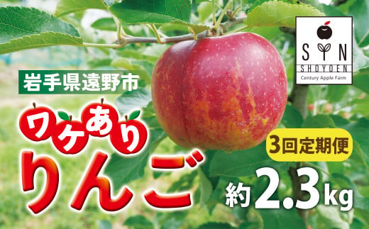 訳あり りんご 定期便 3回（約2.3kg） / 岩手県 遠野市 産 松陽園 10-12月 発送 9月30日受付終了 1460642 - 岩手県遠野市