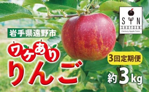 訳あり りんご 定期便 3回（約3kg） / 岩手県 遠野市 産 松陽園 10-12月 発送 9月30日受付終了 1460643 - 岩手県遠野市