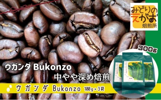 50度お湯洗い焙煎豆 ウガンダ Bukonzo 中やや深め焙煎 珈琲 コーヒー キャンプ アウトドア ギフト 贈り物