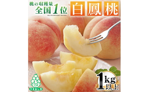 2025年先行受付 山梨県産 もも (白鳳系)1kg以上 3～5玉 熟練農家 厳選の旬の桃【1277545】 338299 - 山梨県山梨市