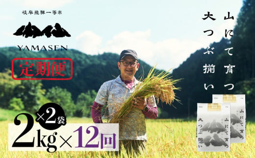 令和6年産米【定期便】山仙（いのちの壱）【2kg×2袋（4kg）×12回】 すがたらいす 下呂市金山産 2024年産 毎月 4キロ×12カ月 お米 精米 下呂温泉 下呂市 米 　ブランド米 1454351 - 岐阜県下呂市