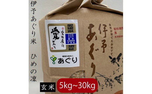 [新米][予約販売][選べるキロ数][2024年11月中旬頃発送]米 玄米 5kg 伊予あぐり米「ひめの凜」 令和6年産 米 農薬・化学肥料不使用 米 玄米 令和6年産 米 お米 こめ 農薬・化学肥料不使用 こだわりのお米 愛媛県 松前町 松前 まさき 愛媛 えひめ おこめ 有限会社あぐり 愛媛県産米 松前町産米 美味しいお米 お米 贈答 贈り物 愛媛県 松前町 有限会社あぐり