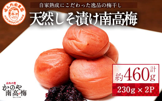 2581 かのや南高梅 しそ漬け 230g×2箱[梅 うめ 梅干し うめぼし しそ シソ 紫蘇 塩漬け 天然 自家製 小分け 南高梅]