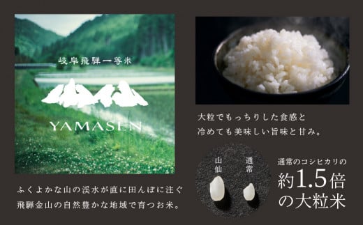 （新米）令和6年産米【定期便】山仙（いのちの壱）2kg×12回 すがたらいす 下呂市金山産 2024年産 毎月 2キロ×12カ月 お米 精米 下呂温泉  下呂市 米 ブランド米|有限会社　すがたらいす