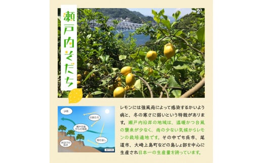 大崎下島産 栽培期間中農薬不使用 瀬戸内レモン 3kg 新鮮 発送日に収穫 国産 広島県産 檸檬 レモン生産量日本一の広島 フレッシュレモン 朝採れ  朝収穫 産地直送 送料無料 果物 フルーツ ジュース ビタミンC 料理 爽やか スイーツ カクテル - 広島県呉市｜ふるさと ...