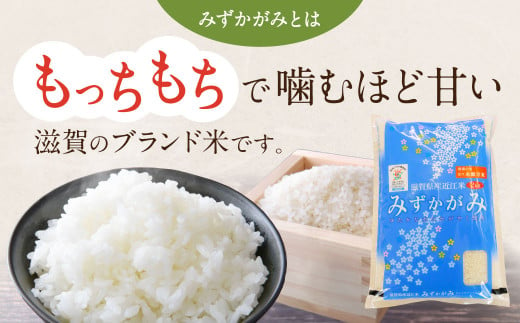 滋賀県東近江市のふるさと納税 みずかがみ レトルトご飯 200g×18個 パックご飯 白米 米 お米  グリーン近江農業協同組合 O-I05 【 パックご飯 パックライス ご飯 ご飯パック ごはんパック パック レトルト 米 備蓄米 備蓄 防災 備蓄品 備蓄 食料 レトルトご飯 レトルトごはん 一人暮らし パックご飯 パックごはん ごはん パック レトルト 非常食 防災 キャンプ】