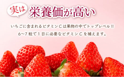 佐賀県上峰町のふるさと納税 ☆赤い宝石☆佐賀県産いちごさん（240g✕4P）計960g【先行予約開始】【数量限定】A-66-AS