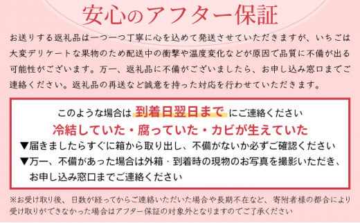 佐賀県上峰町のふるさと納税 ☆赤い宝石☆佐賀県産いちごさん（240g✕4P）計960g【先行予約開始】【数量限定】A-66-AS