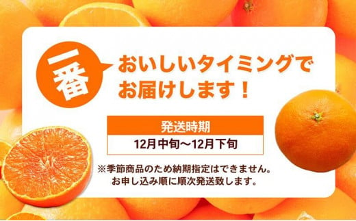 愛媛県砥部町のふるさと納税 愛媛県産 紅まどんな 「青秀」JA正規品 約3kg10玉～15玉入り 数量限定400箱  12月～順次発送【柑橘 甘い 高級 極上 JA直送 正規みかん 愛果28号】 [№5310-0022]