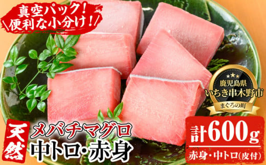 天然! 旬の メバチマグロ 冷凍 中トロ 100g×4 赤身 100g×2 合計約600g を 便利 な 小分け 柵 でお届け! まぐろ 刺身 中とろ 赤身 メバチまぐろ 小分け 【海鮮まぐろ家】 【A-1664H】