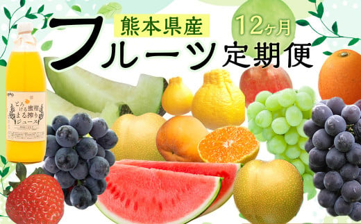 熊本フルーツ 定期便12回 フルーツ 果物 メロン すいか 不知火 ギフト いちご きんかん 巨峰 みかん 大秋柿 贈答 801575 - 熊本県熊本市