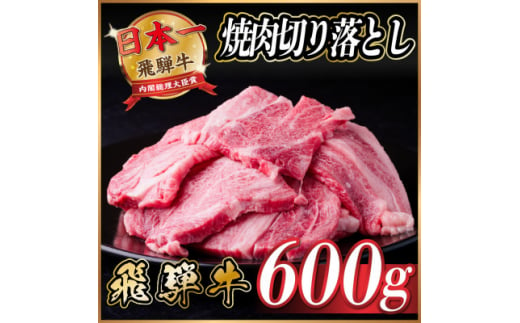 飛騨牛 焼肉 切り落とし 約600g(約300g×2)訳あり＜冷蔵便＞【1543372】 1464442 - 岐阜県羽島市