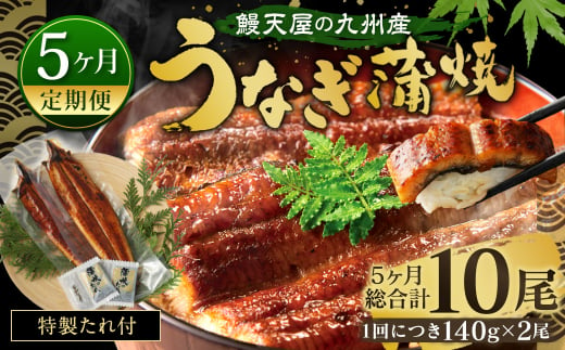 【5ヶ月定期便】鰻天屋 九州産うなぎ 蒲焼 約140g×2尾 セット 合計10尾 たれ 山椒 鰻 ウナギ 蒲焼き 国産 冷凍 鹿児島、宮崎、熊本等産うなぎ原料使用 1464138 - 福岡県北九州市