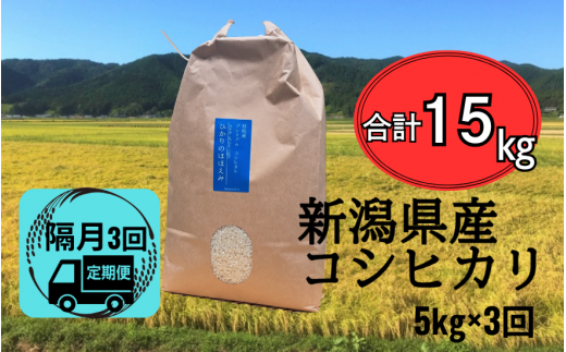 【先行予約】新米〈隔月3回定期便〉 令和6年産 五泉産 コシヒカリ 精米 5kg (5kg×1袋) 新潟県 五泉市 株式会社蛇場農産（2024年10月上旬以降順次発送） 1463156 - 新潟県五泉市