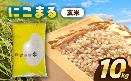 【10月発送】＼選べる配送月／にこまる　玄米　10kg　お米　ご飯　愛西市／株式会社戸倉トラクター [AECS065-10] 1461455 - 愛知県愛西市