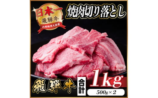 飛騨牛 焼肉 切り落とし 約1kg(約500g×2)訳あり＜冷蔵便＞【1543362】 1464444 - 岐阜県羽島市