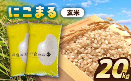 【12月発送】＼選べる配送月／にこまる　玄米　20kg　お米　ご飯　愛西市／株式会社戸倉トラクター [AECS066-12] 1461469 - 愛知県愛西市