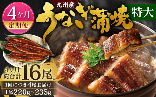 【4ヶ月定期便】九州産 うなぎ 蒲焼 特大4尾 (1尾あたり220～235g)  合計16尾 たれ 山椒 鰻 ウナギ 蒲焼き 国産 冷凍 鹿児島、宮崎、熊本等産うなぎ原料使用 1464140 - 福岡県北九州市